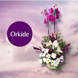 Mini Banner Position 2