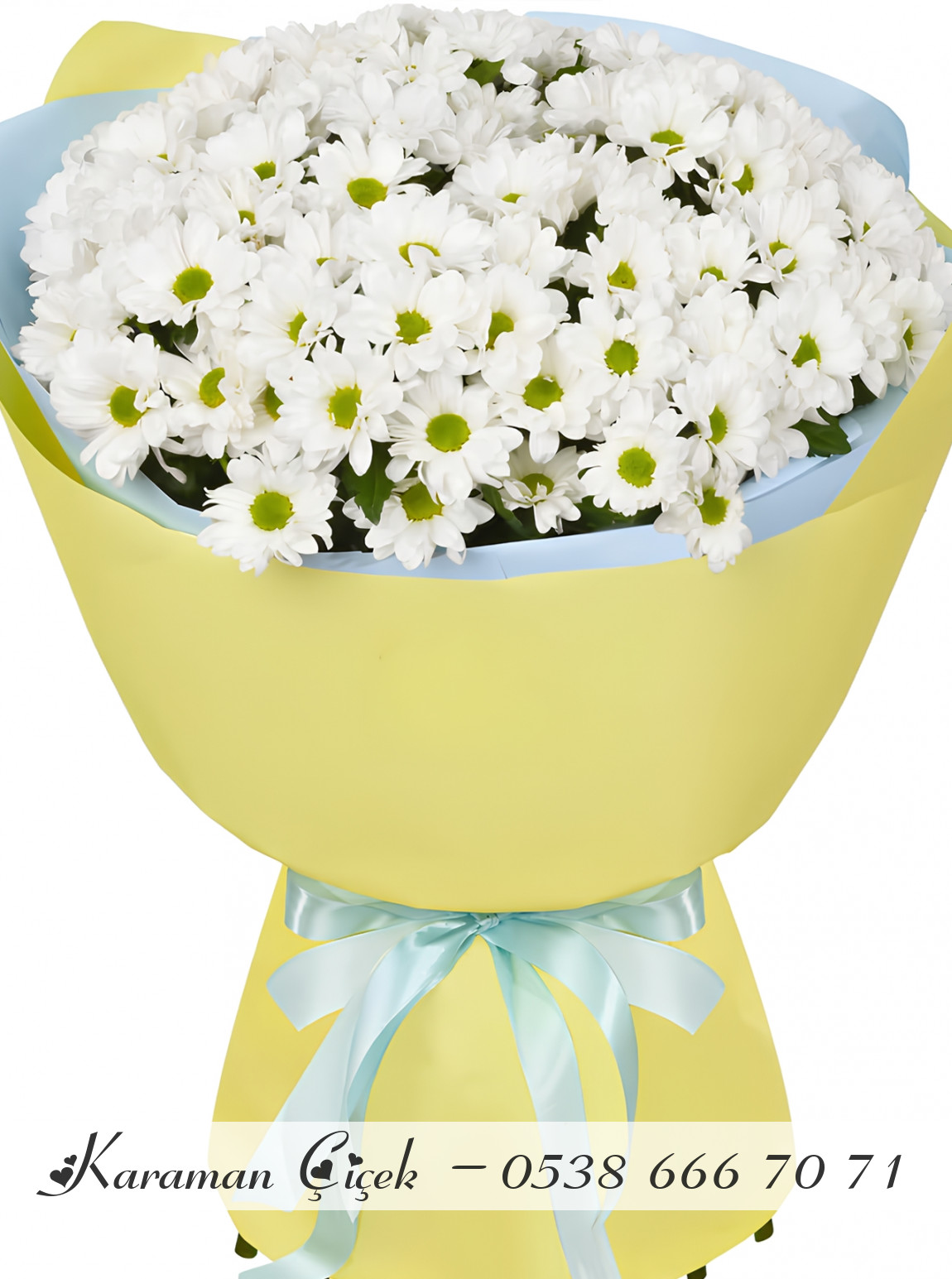 Büyük Papatya Buketi