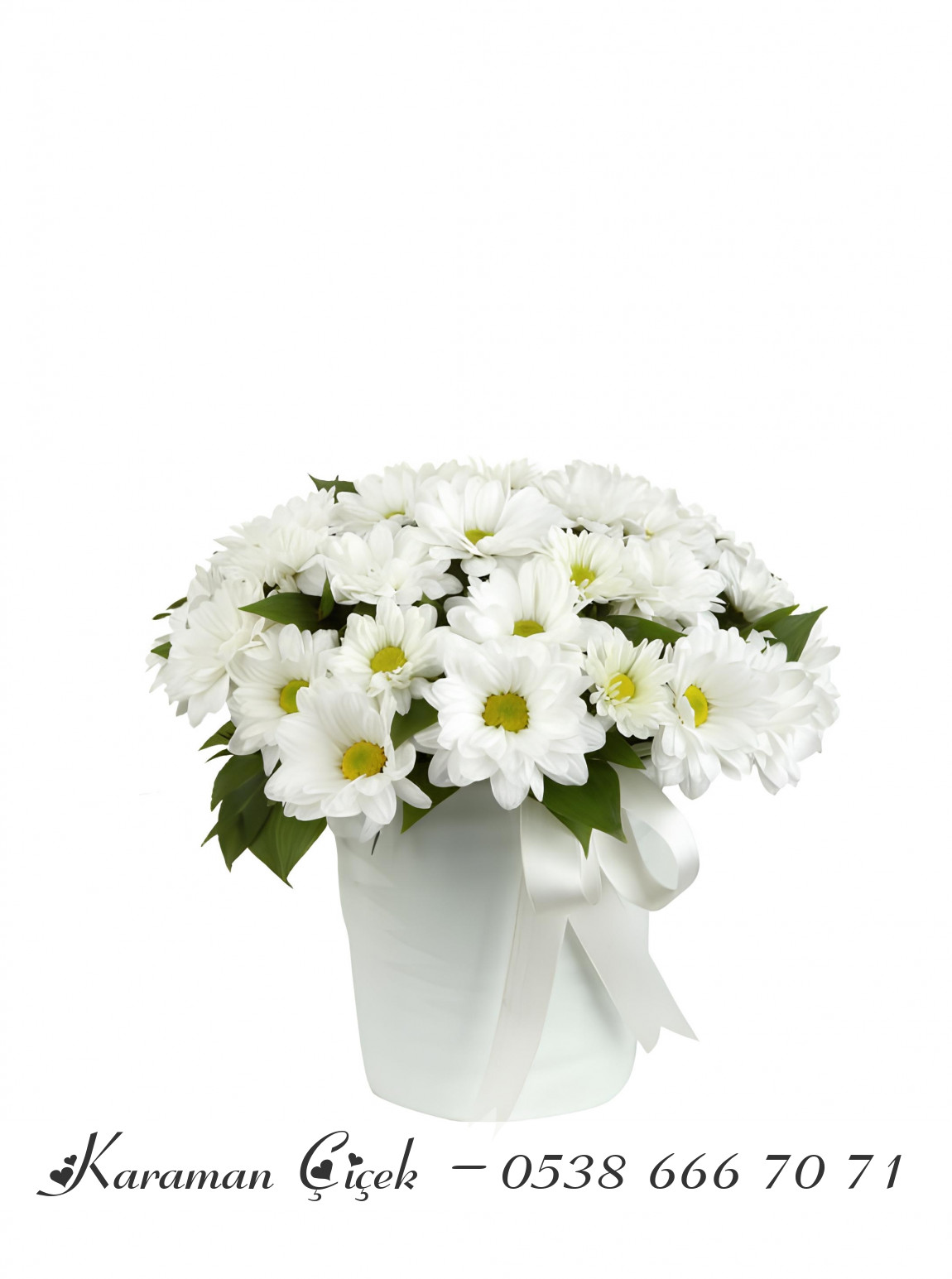 Cam Fanusta Papatyalar