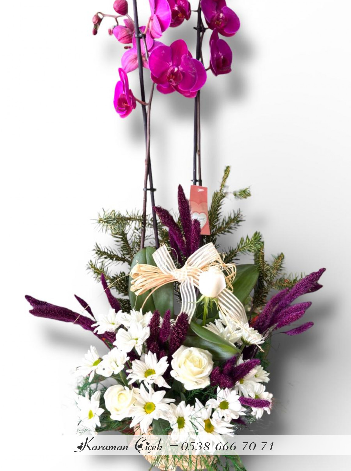 Prestijli Uyum: Mor Orkide Ve Beyaz Gül Aranjmanı