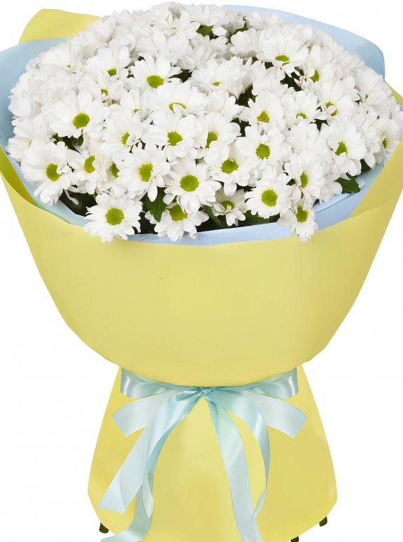 Büyük Papatya Buketi