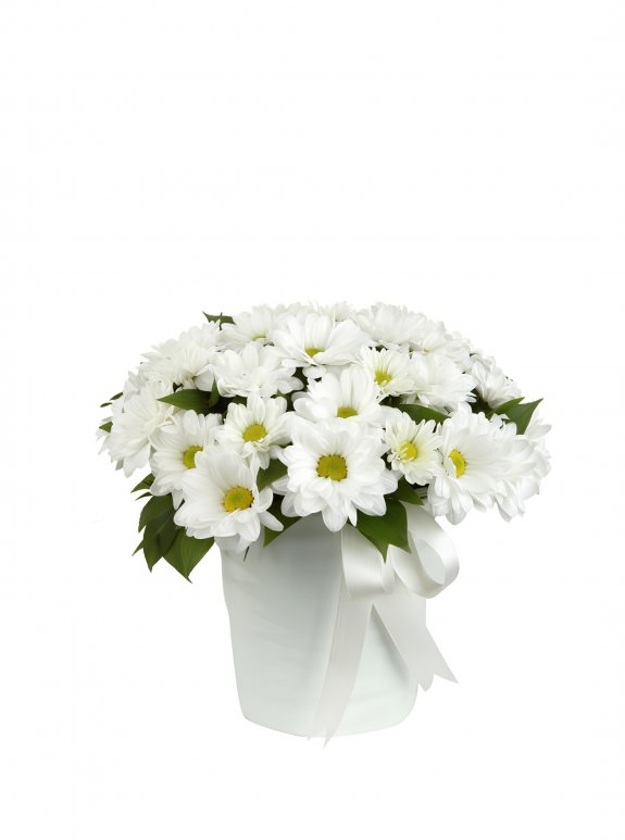 Cam Fanusta Papatyalar