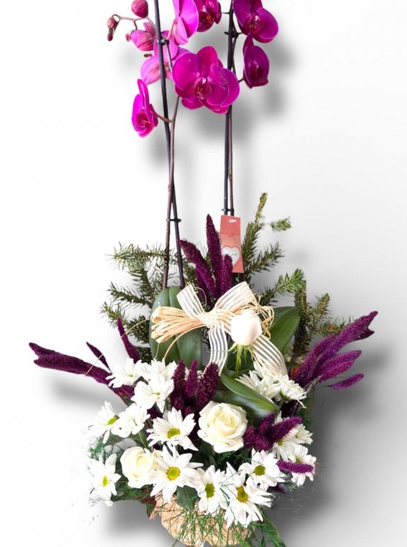 Prestijli Uyum: Mor Orkide Ve Beyaz Gül Aranjmanı