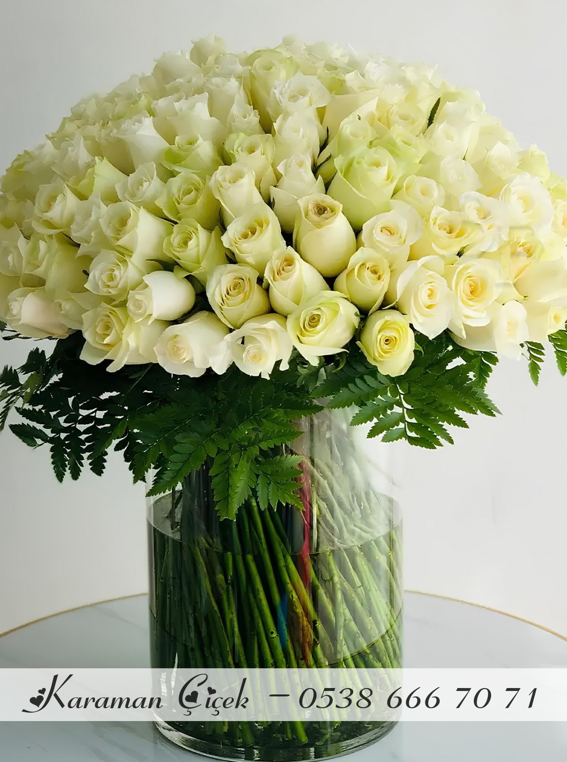 Vazoda 101 Tane Beyaz Gül