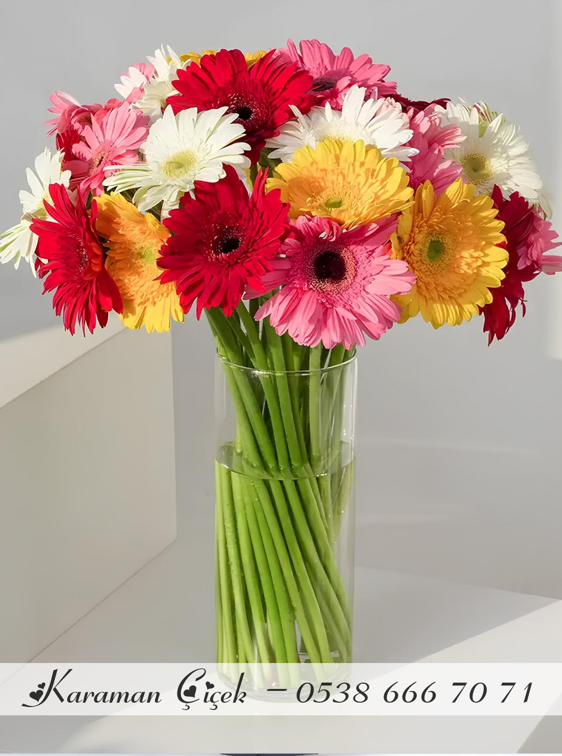 Vazoda Renkli Gerbera